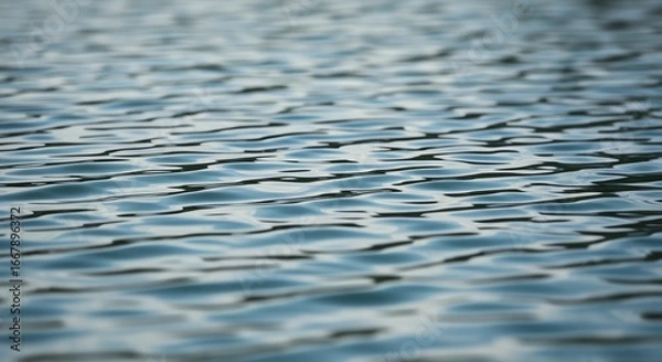 Obraz Water surface with rippled reflections