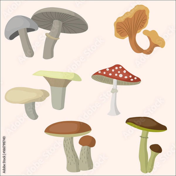 Fototapeta Beautiful mushrooms set. Vector magic unusual nature elements, isolated on white.