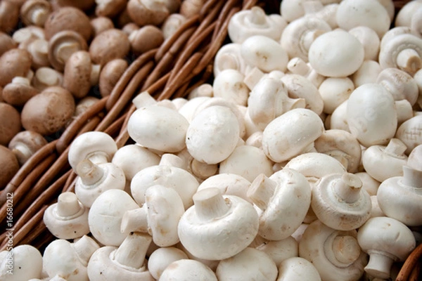 Obraz mushrooms in baskets