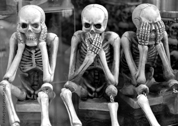 Obraz human skull and skeleton