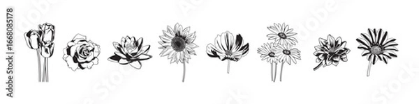 Fototapeta black white detailed flowers