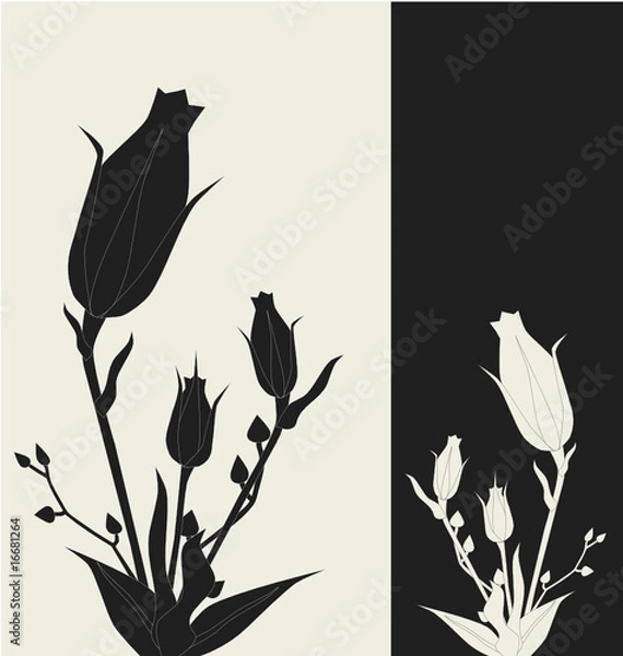 Obraz Roses - duotone vector illustration