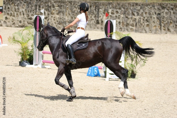 Obraz Competitive Equestrian Sport