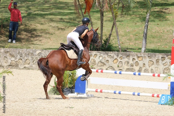 Obraz Competitive Equestrian Sport