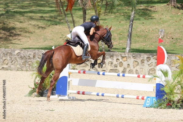 Obraz Competitive Equestrian Sport