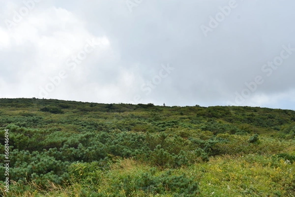 Fototapeta 日本三景　松島　遊覧船