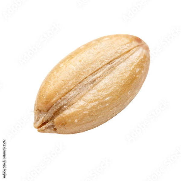 Fototapeta A single raw wheat seed a staple cereal grain isolated on a transparent background png