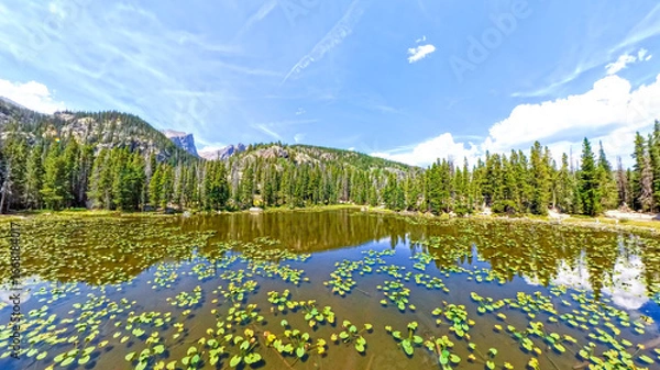 Fototapeta High-angle view of a lake with lily pads in the Rocky Mountains. Nymph Lake in Rocky Mountain National Park, Colorado.
