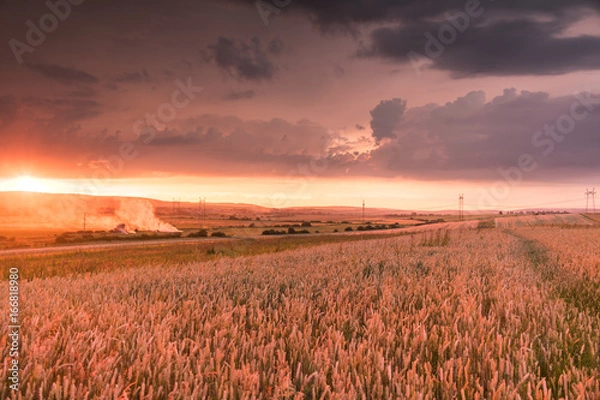 Obraz Wheat field in the sunset with a thunderstorm