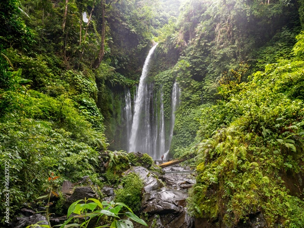 Fototapeta Tiu Kelep Waterfall in the near of the Volcano Rinjani, Lombok, Indonesia