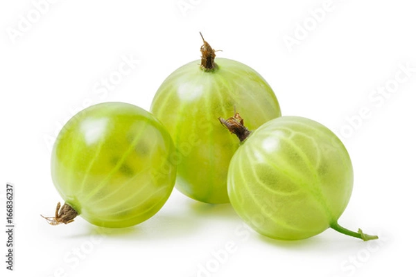 Obraz Gooseberry isolated on white background