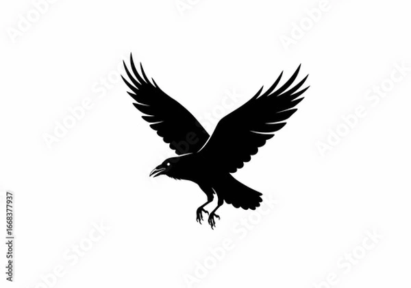 Obraz A black raven is flying down with wings outstretched against a white background
