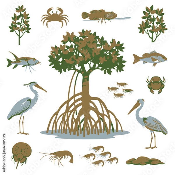 Fototapeta Illustrative depiction of a mangrove ecosystem, showcasing diverse flora and fauna.