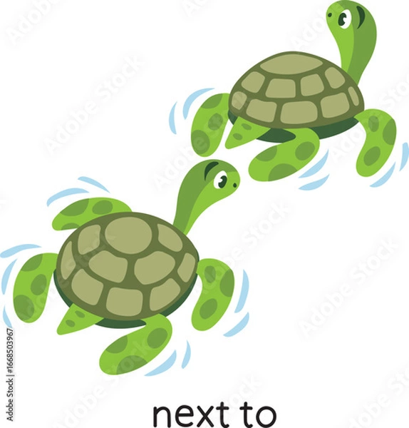 Fototapeta Preposition of place Turtle NEXT TO another turtle