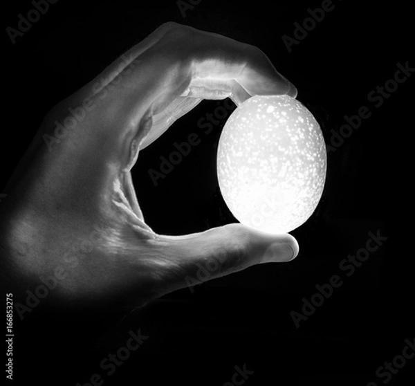 Obraz Egg - Life in your Hand