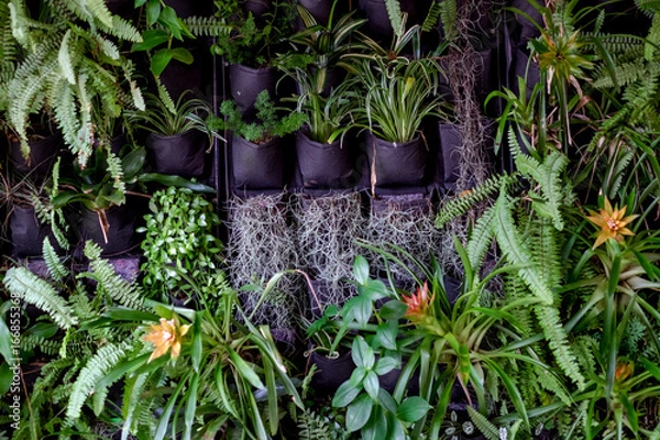 Obraz Plant wall