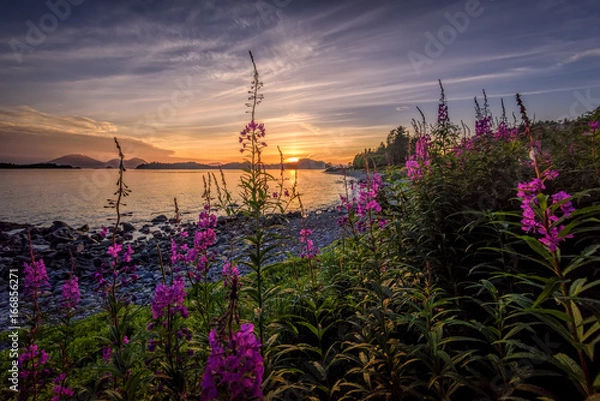 Fototapeta Odliczanie do zimy