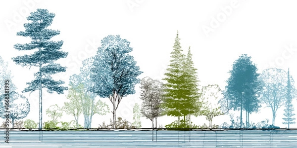 Fototapeta Fagus Sylvatica Trees – Isolated Cutouts in 3 Models, Watercolor Green Trees, Daylight Summer Season, Landscape and Architectural Design Elements texture vector design on transparent background.