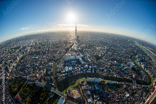 Obraz Wide-angle aerial view of Tokyo cityscape with Skytree Tower at the centre, Japan
