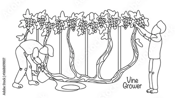 Obraz Vine Grower