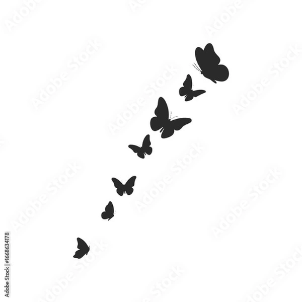 Obraz Silhouette of butterflies in ascending flight on white background