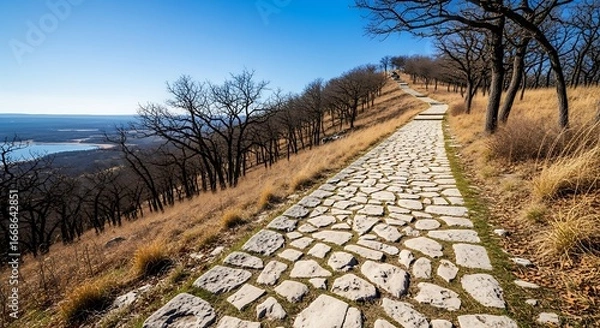 Obraz Ascend scenic stone path through barren trees towards distant horizon under clear blue sky
