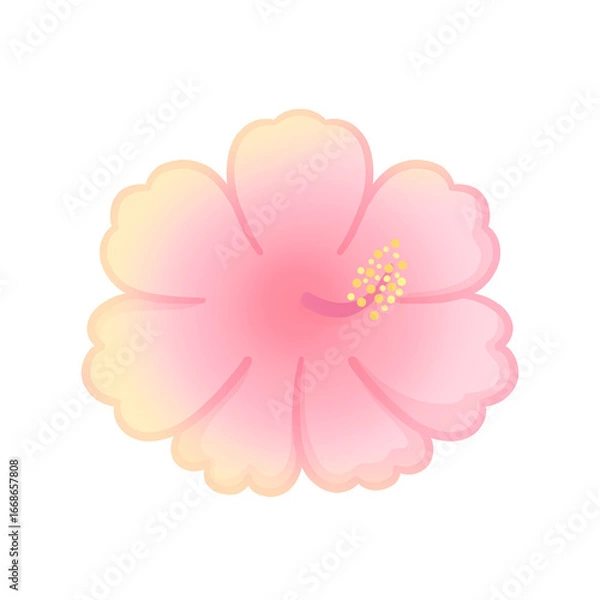 Obraz pink dahlia flower