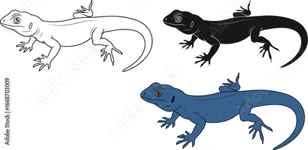 Fototapeta Lizard illustration set reptile drawing vector images isolated