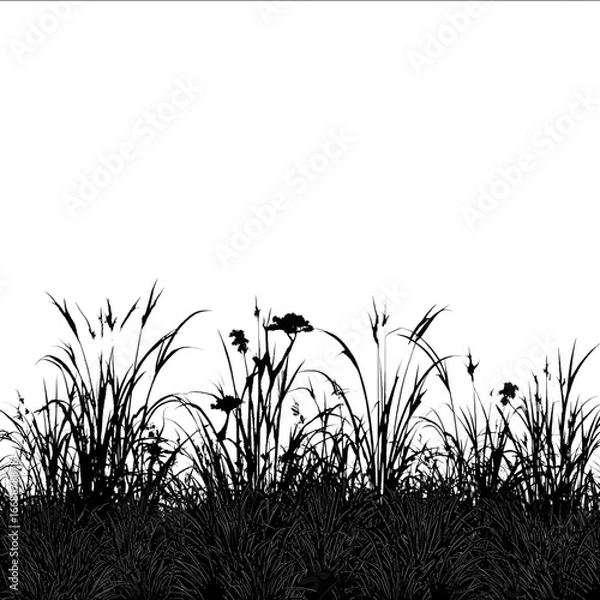 Fototapeta A silhouette of long grass tropical forward facing perspective realistic against white include various tropical trees in the foreground and background that are.