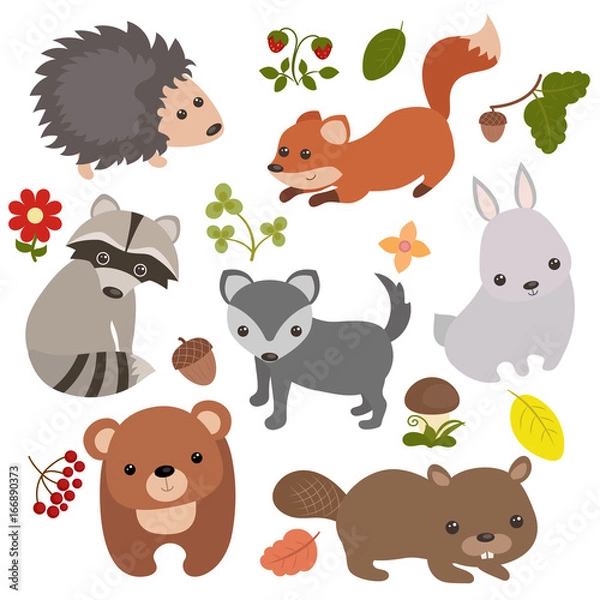 Fototapeta Forest animals.