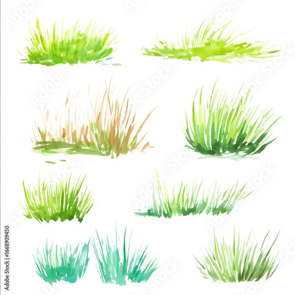 Fototapeta watercolor patches of grass varying colors and hight white background clipart style.