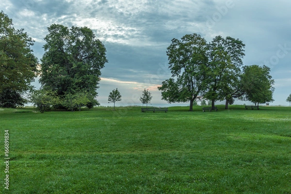 Obraz Green park with trees