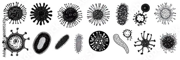 Fototapeta Set of black and white vector illustrations of diverse bacteria and virus microorganisms with unique shapes and structures in flat minimalist style
