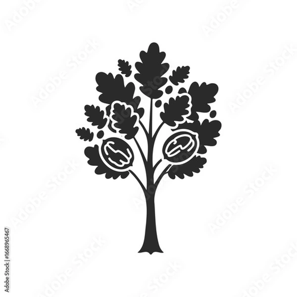 Fototapeta Black and white walnut tree silhouette with leaves and walnuts