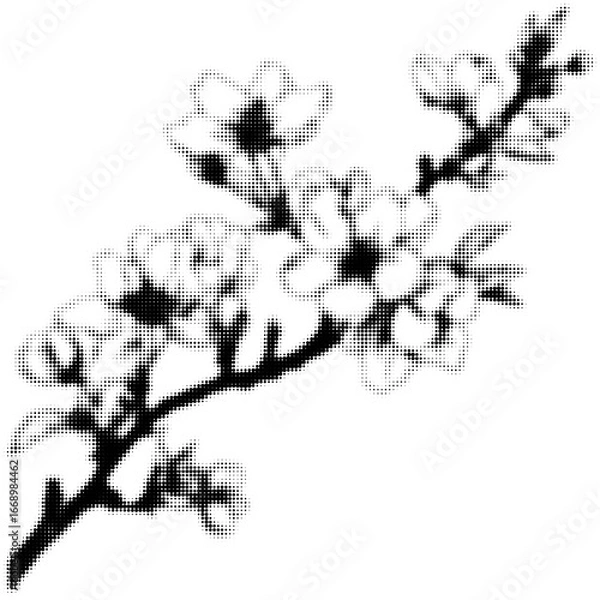 Fototapeta Halftone black and white cherry blossom branch with detailed pixel texture. Vector illustration