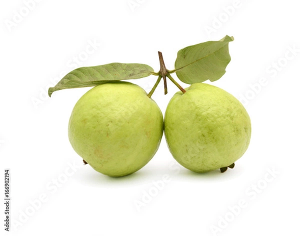 Fototapeta Fresh guava fruit with leaf isolated on white background