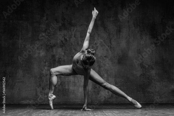 Obraz Young beautiful dancer is posing in studio