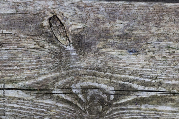 Obraz Wodden texture