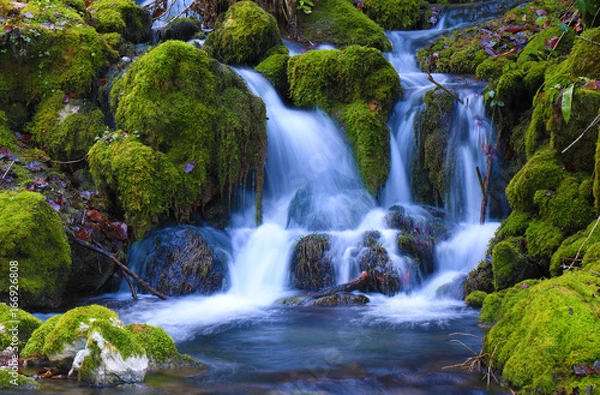 Obraz Mountain stream