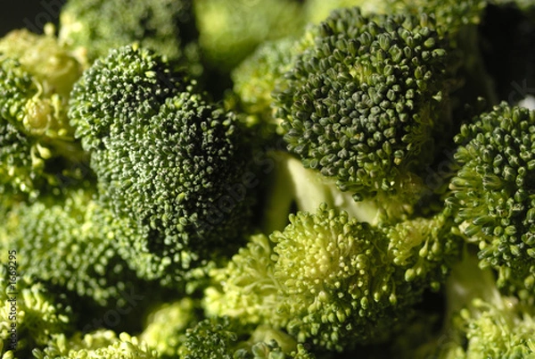 Obraz  close up of broccoli
