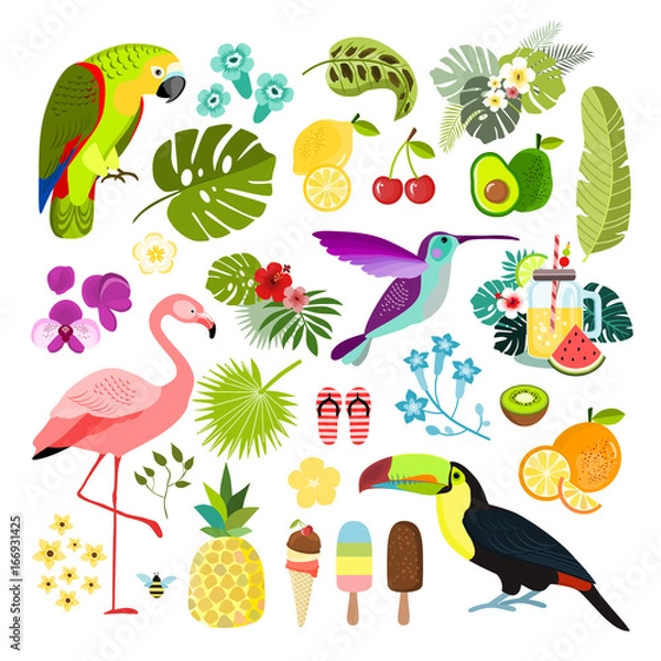 Obraz Summer tropical graphic elements. Parrot, toucan and flamingo bird. Jungle floral illustrations, palm leaves, hibiscus, flowers, tropical fruits and plants. Isolated vector illustration.