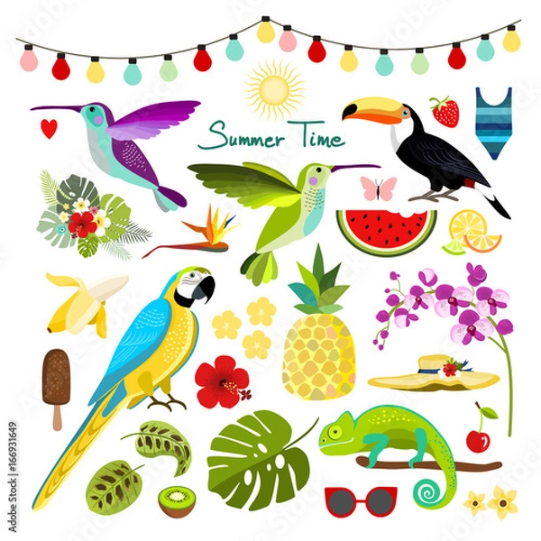Obraz Summer tropical graphic elements. Parrot, toucan, hummingbird and chameleon. Jungle floral illustrations, palm leaves, hibiscus, flowers, tropical fruits. Isolated vector illustration.