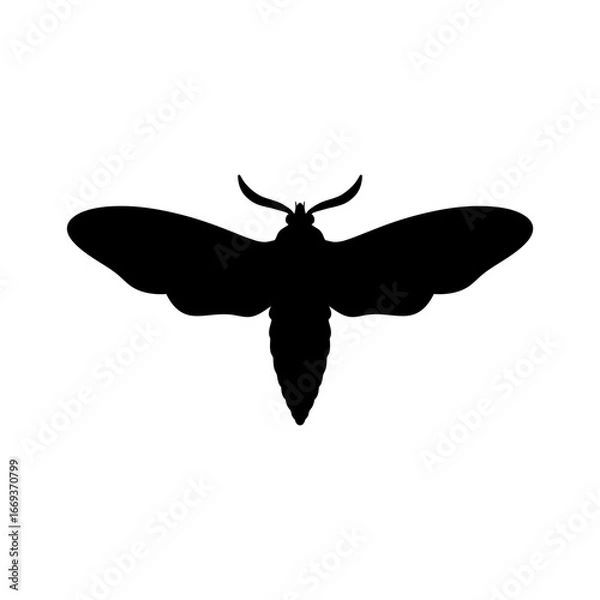 Fototapeta black and white moth silhouette isolated on white background. butterfly vector illustration. moth, insect, butterfly, wings, art, design, illustration, graphic, nature