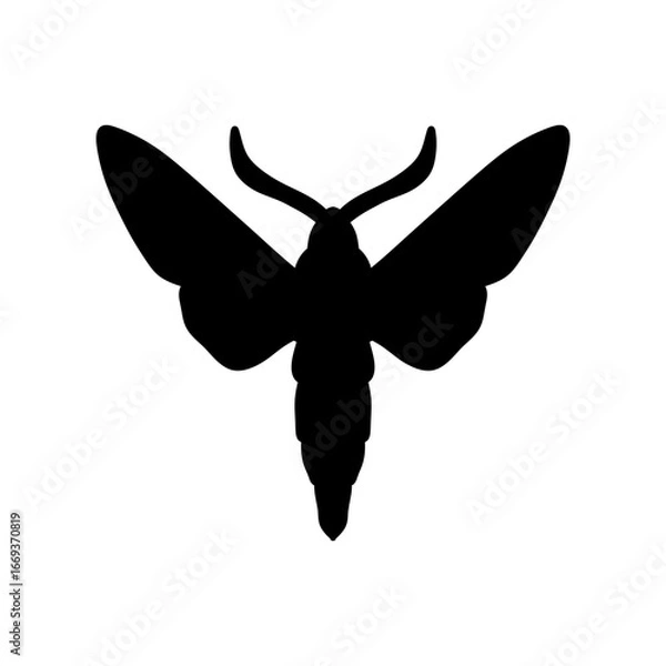 Obraz black and white moth silhouette isolated on white background. butterfly vector illustration. moth, insect, butterfly, wings, art, design, illustration, graphic, nature