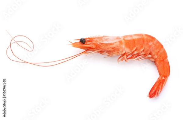 Obraz Gotowane krewetki na białym tle.