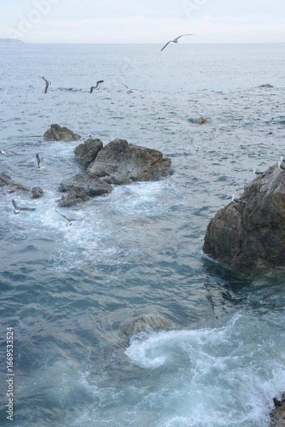 Obraz 荒波の上を飛びまわるカモメの群れ