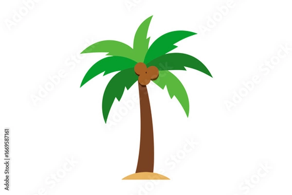 Fototapeta palm tree isolated on white