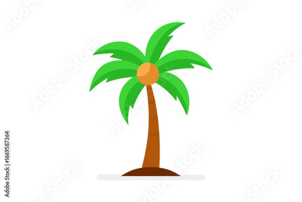 Obraz palm tree isolated on white