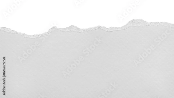 Fototapeta torn blank pages with uneven texture edges. set of ripped white paper sheets png isolated on transparent background. document or newspaper mockup.