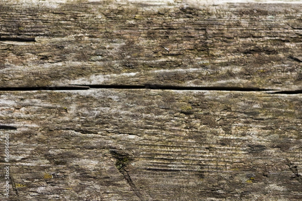 Obraz Wooden texture